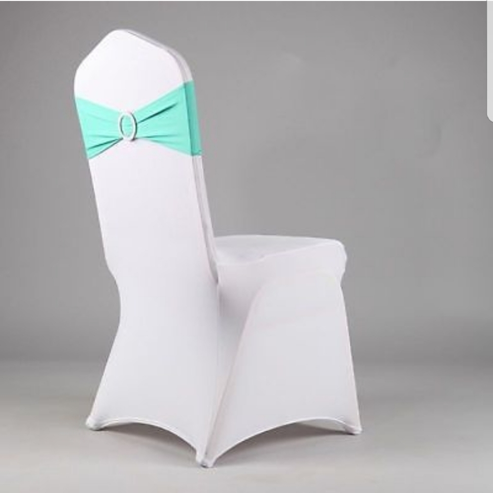 Turquoise Wedding Chair Sashes